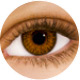 Farvede kontaktlinser Brown Farvede kontaktlinser Brown
