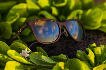 Slagskib sprogfærdighed Afskrække Solbriller fra Maui Jim, til damer og herrer | Friis Optik